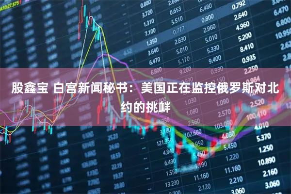 股鑫宝 白宫新闻秘书：美国正在监控俄罗斯对北约的挑衅